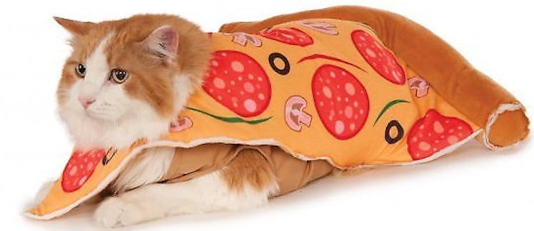 Rubie's Costume Company Pizza Dog & Cat Costume