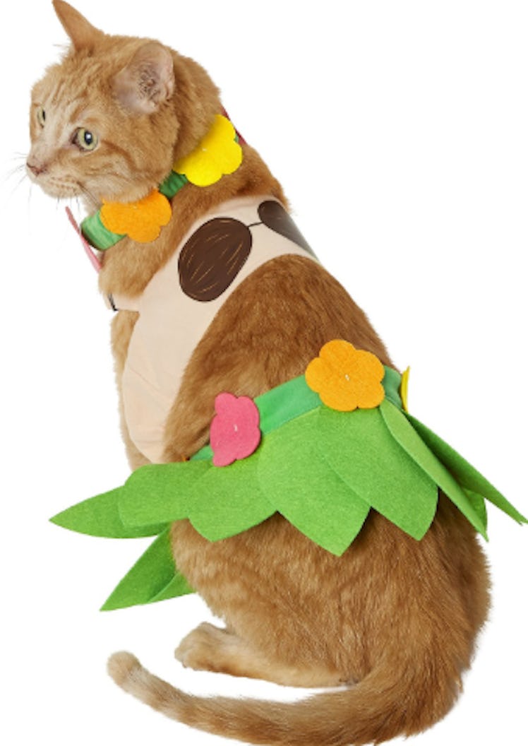 Frisco Hula Girl Dog & Cat Costume