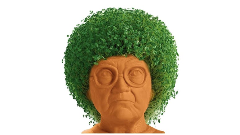 'Golden Girls' Chia Pets Are Hilariously Awesome