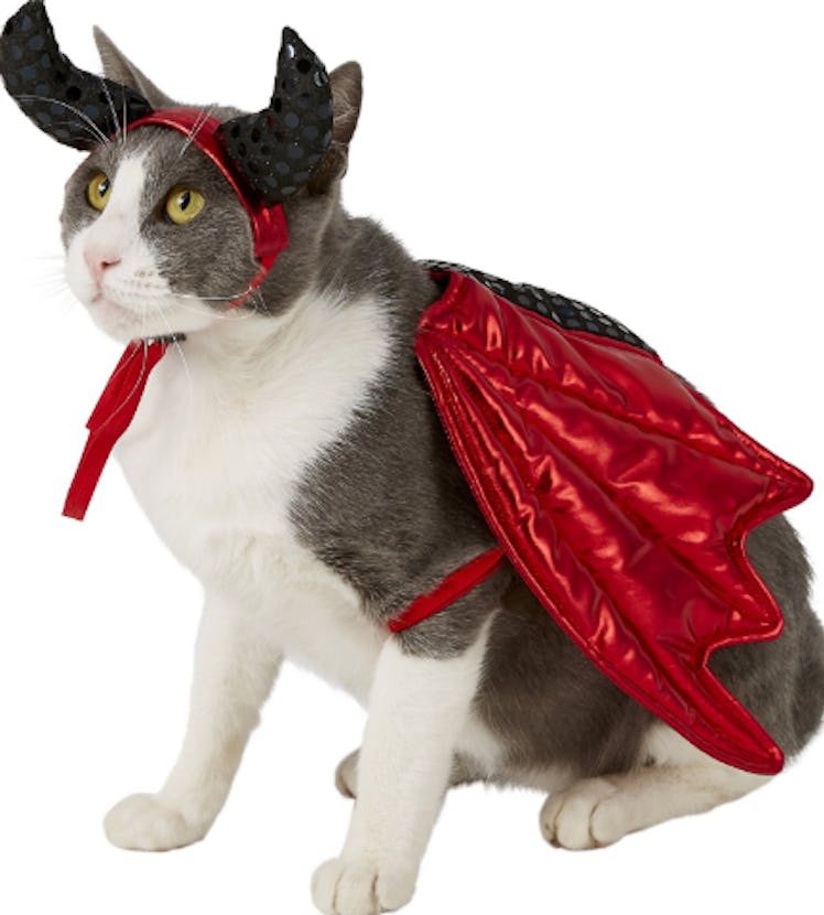 Frisco Devil Dog & Cat Costume