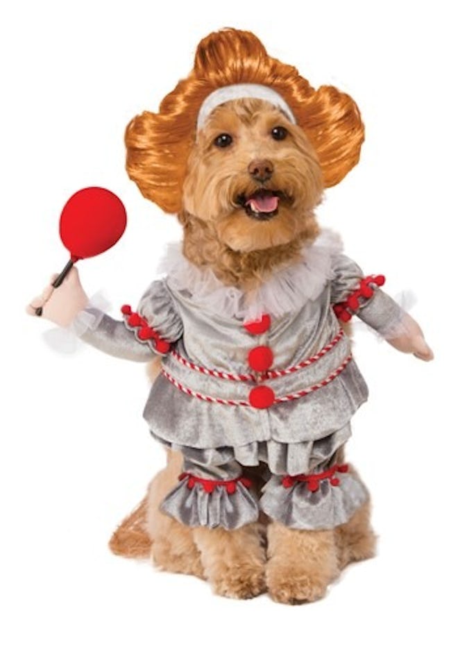 Pennywise Pet Costume