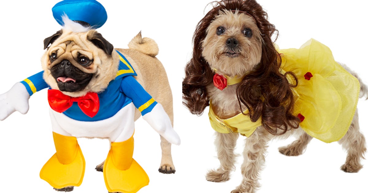 7 Disney Costumes For Your Dog That Are Too Good To Be True