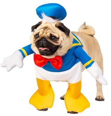Walking Donald Duck Disney Dog Costume