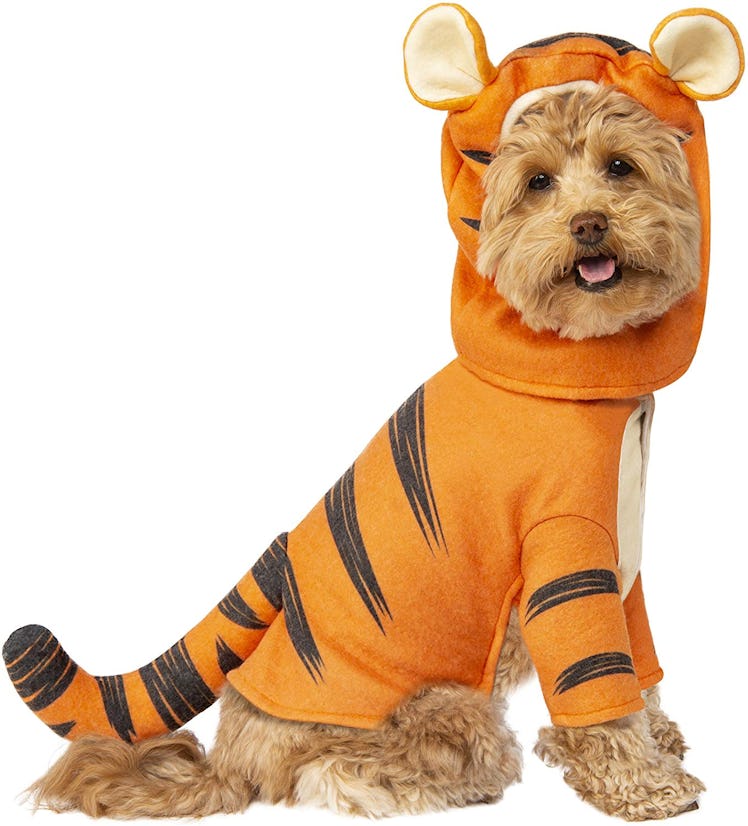 This dog Halloween costume will adorably transform your pup.