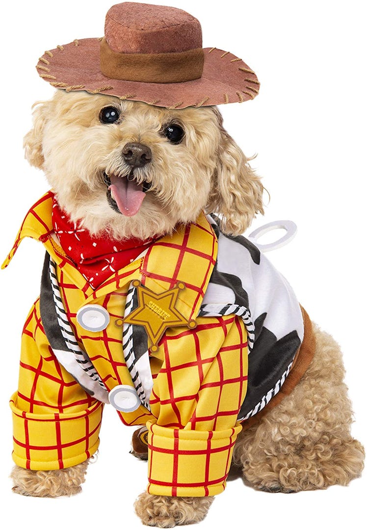 Rubie's Disney: Toy Story Pet Costume