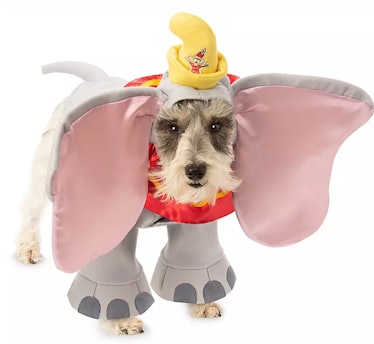 Dumbo Pet Costume by Rubie's