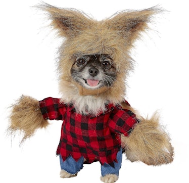 Frisco Werewolf Dog & Cat Costume