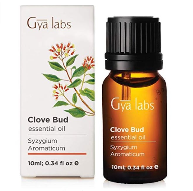 Gya Labs Clove Bud Essential Oil (10 mL)