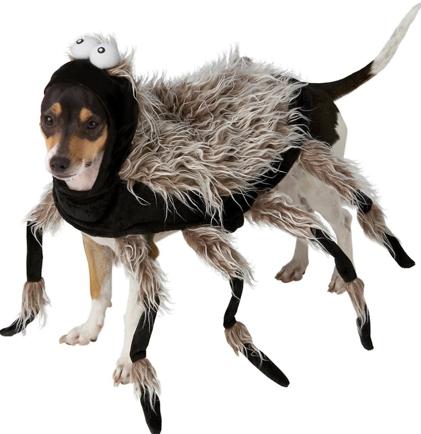 7 Scary Halloween Costumes For Dogs That Are Hilariously 7 Scary Halloween Costumes For Dogs That Are Hilariously