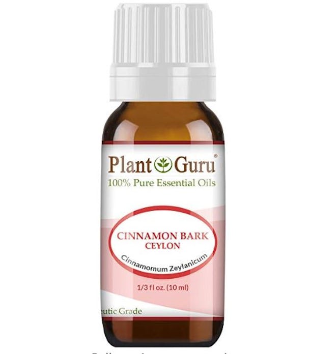 Plant Guru Cinnamon Bark Ceylon Essential Oil (10 mL)