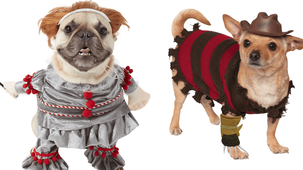 Download 7 Scary Halloween Costumes For Dogs That Are Hilariously Adorable For Android Free Wallpaper 7 Scary Halloween Costumes For Dogs That Are Hilariously Adorable For Android Free