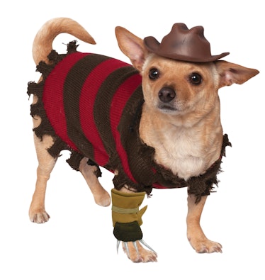 Freddy Krueger Dog & Cat Pet Costume