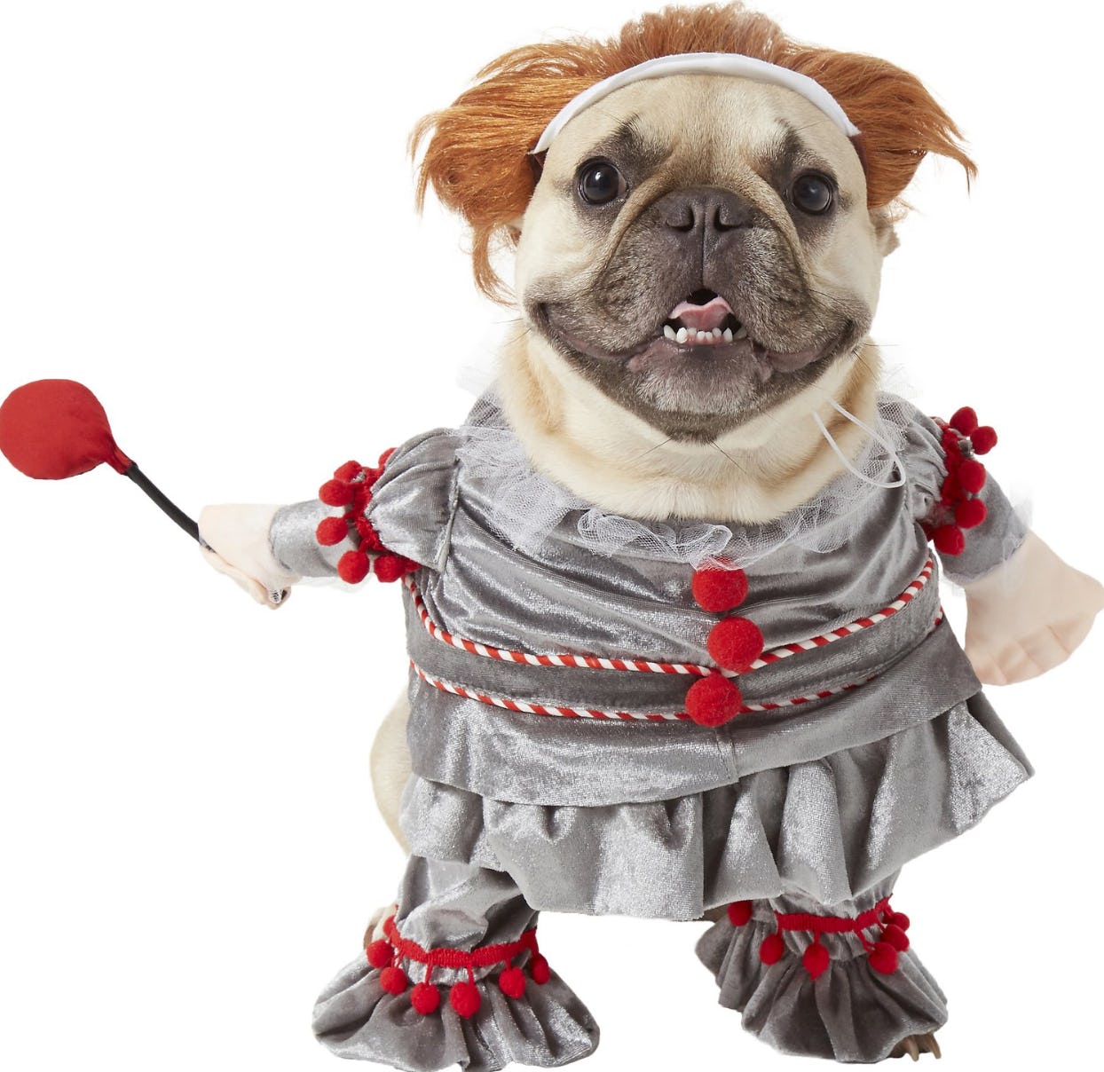 7 Scary Halloween Costumes For Dogs That Are Hilariously Adorable