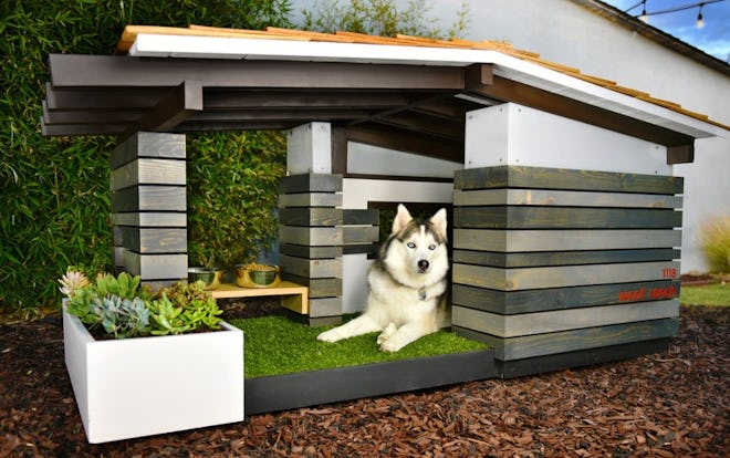 Modern Dog House Mid Century Ranch