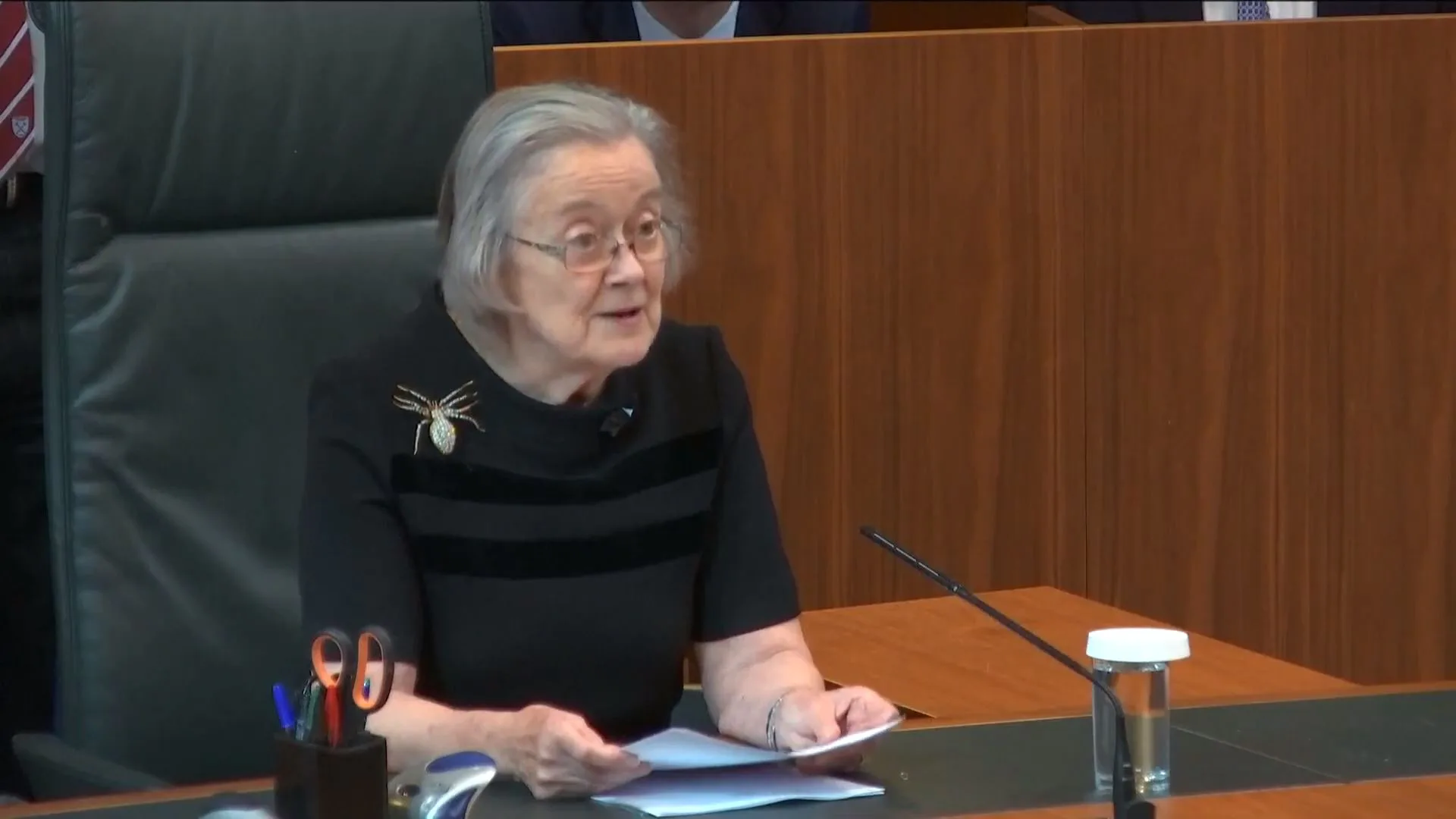 Lady Brenda Hale Is The Supreme Court President & Brooch Icon We All ...