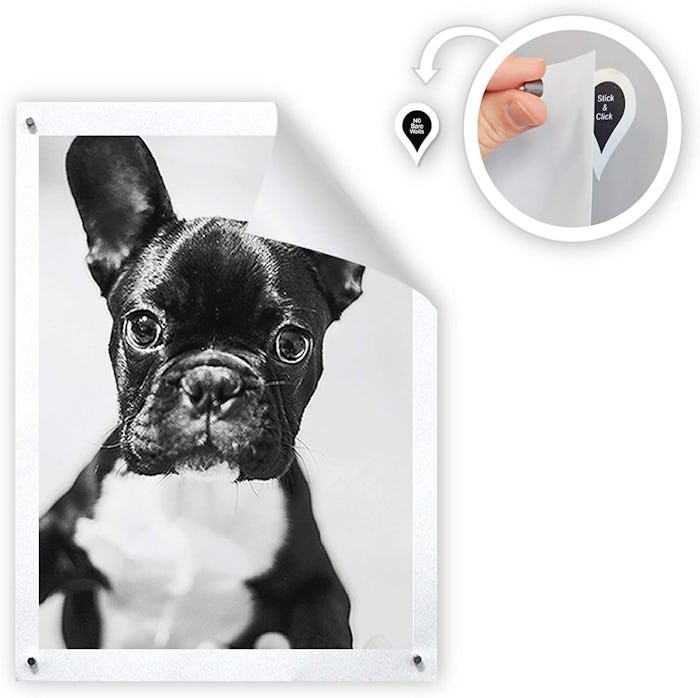 GoodHangups Magnetic Poster and Picture Hangers (8-Pack)