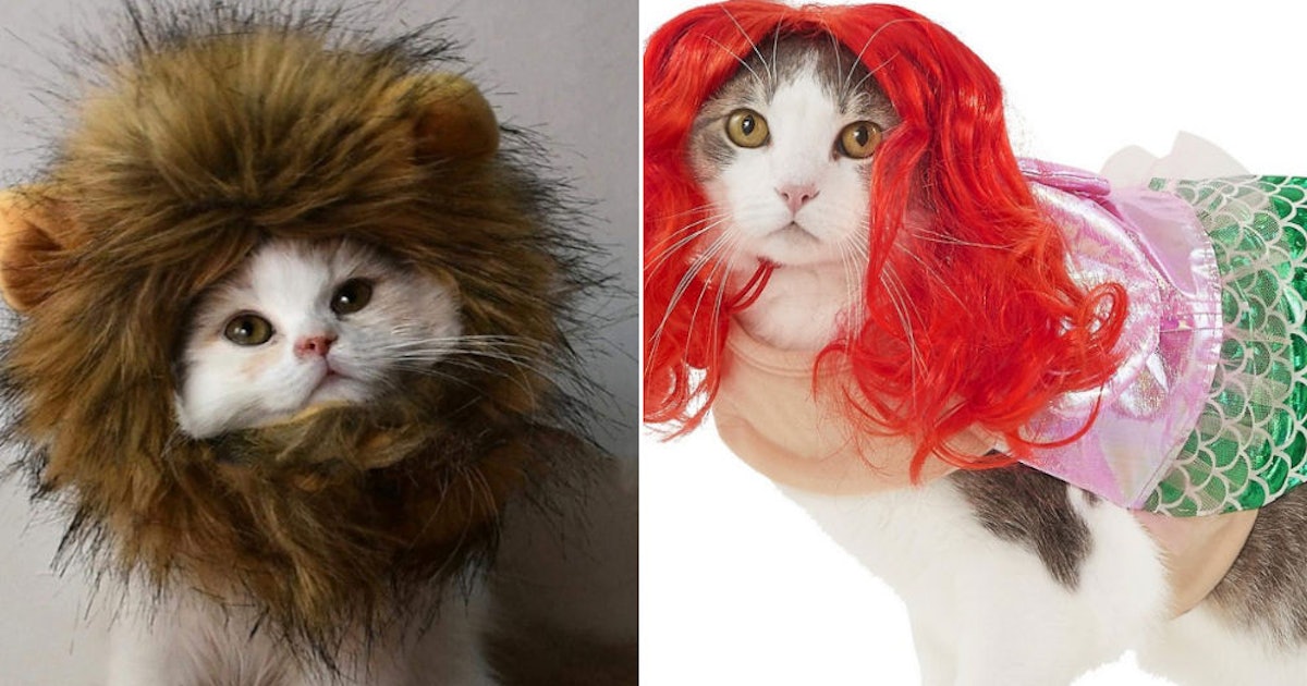 Disney Cat Costume