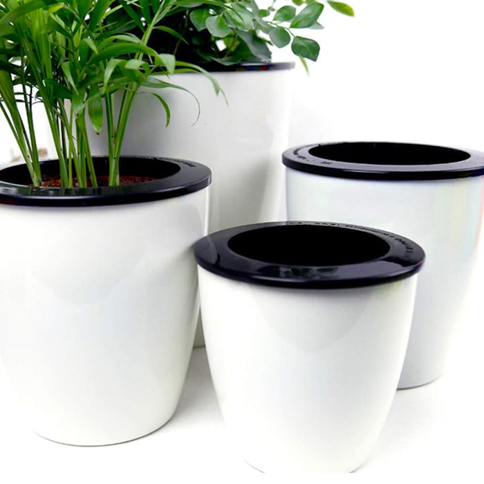 Mkono Self-Watering Planter (3-Pack)
