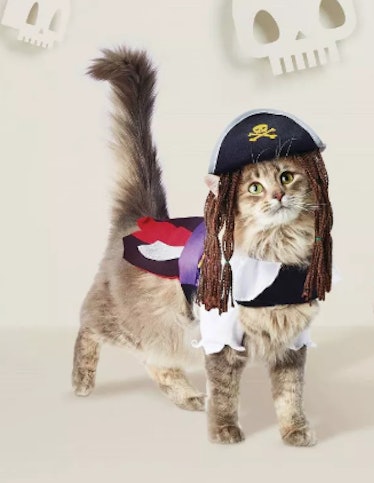 Pirate Dog & Cat Costume - Hyde & EEK! Boutique™