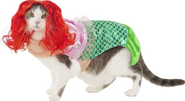 Frisco Mermaid Cat Costume