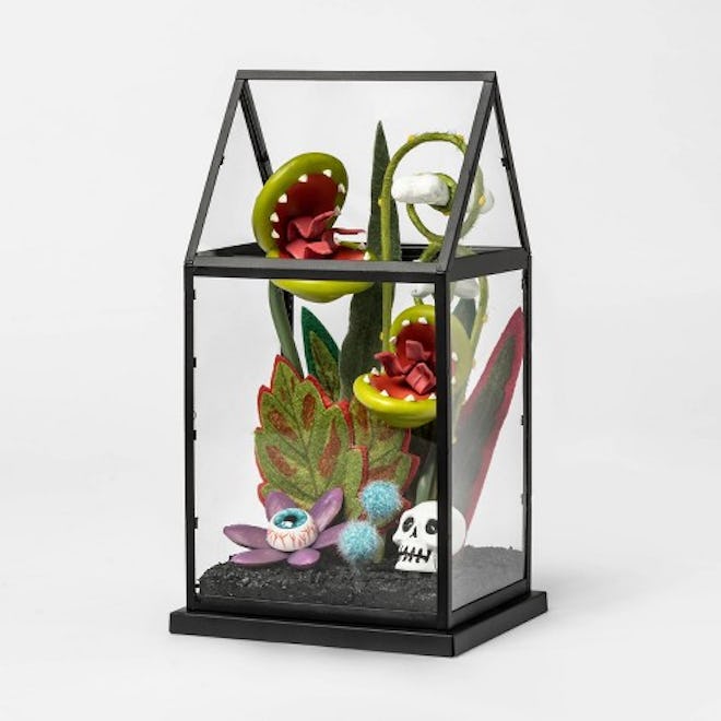 Creepy Terrarium Artifical Halloween Plant - Hyde & EEK! Boutique™