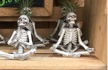 Trader Joe's Yogi Skeleton Planters Are So Creepy Yet Cute