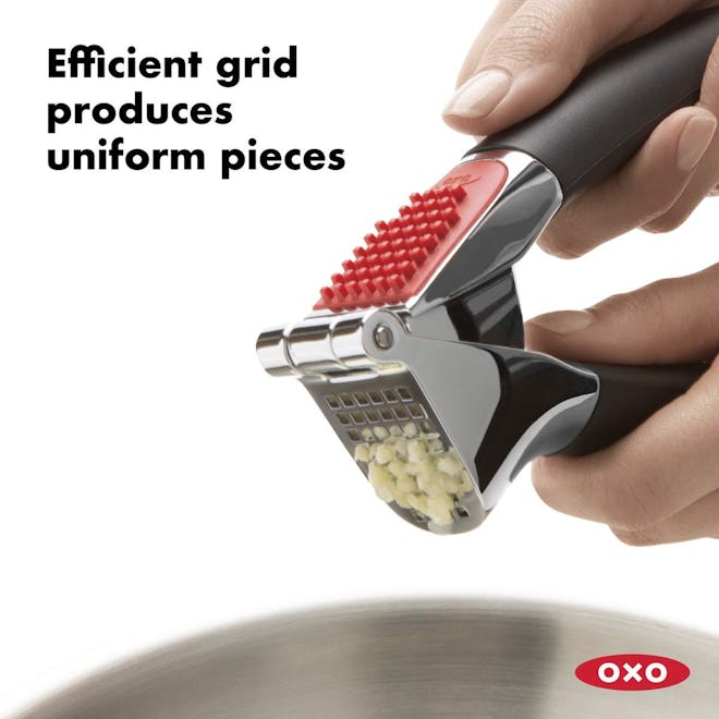 OXO Good Grips Soft Handled Garlic Press