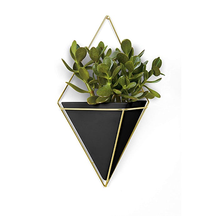 Umbra Trigg Large Hanging Planter 