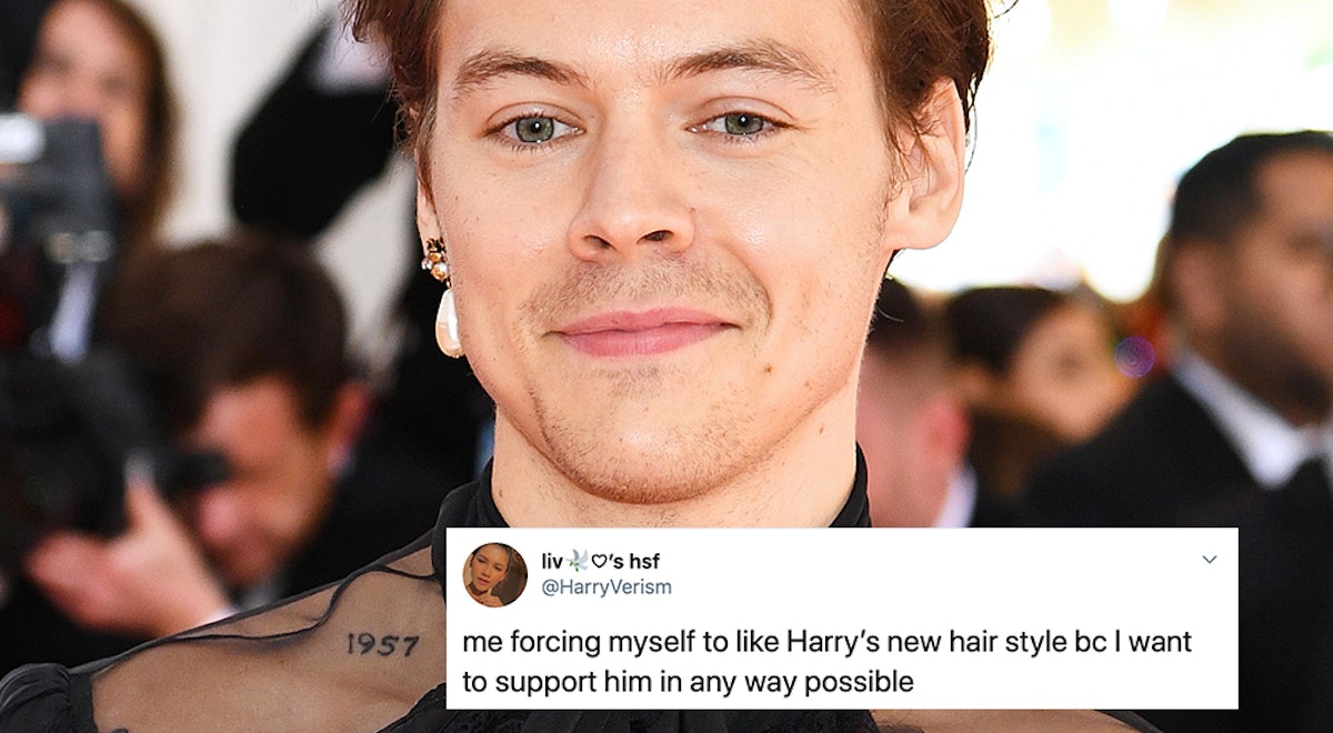 Featured image of post Harry Styles Short Hair Beard : Styles&#039; newest hair change has gotten mixed responses from his fans.