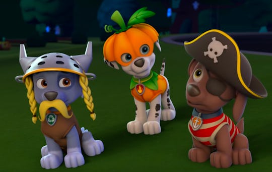 Paw patrol 2025 episodes free