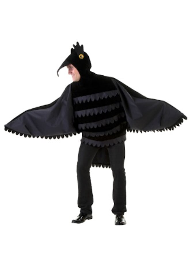 Adult Raven Crow Costume