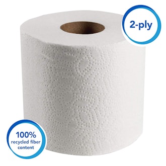 Scott Essential Professional 100% Recycled Fiber Bulk Toilet Paper (2-Ply, 80 Rolls)