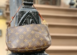 How about a bow to make your LV Speedy prettier Join our Louis