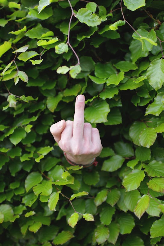 A hand with a middle finger up in the middle of a bush