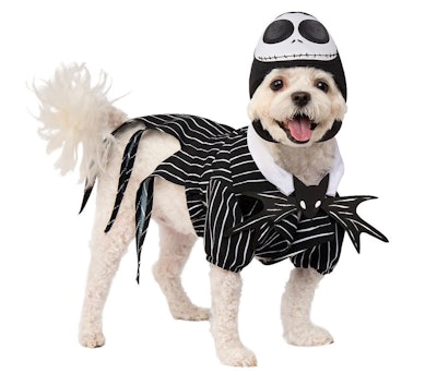 Jack Skellington Dog Costume