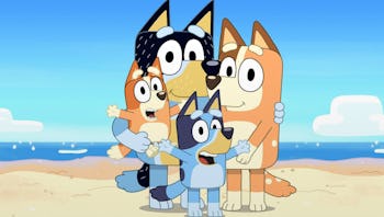 'Bluey' Is Going To Be Your Kid's New Favorite Show — INTERVIEW