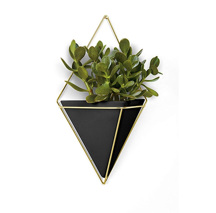 Umbra Trigg Large Hanging Planter