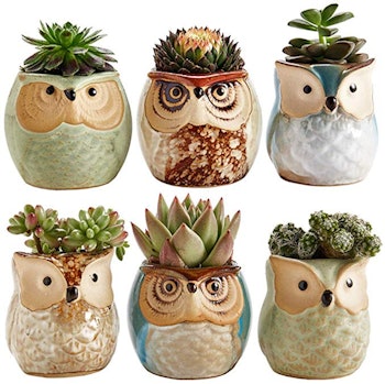 Sun-E SE Owl Pot Ceramic