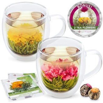 Teabloom Insulated Double Wall Glass Mugs (2-Pack)