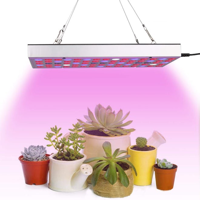 GARSCEN YORC Grow Light LED Growing Lights