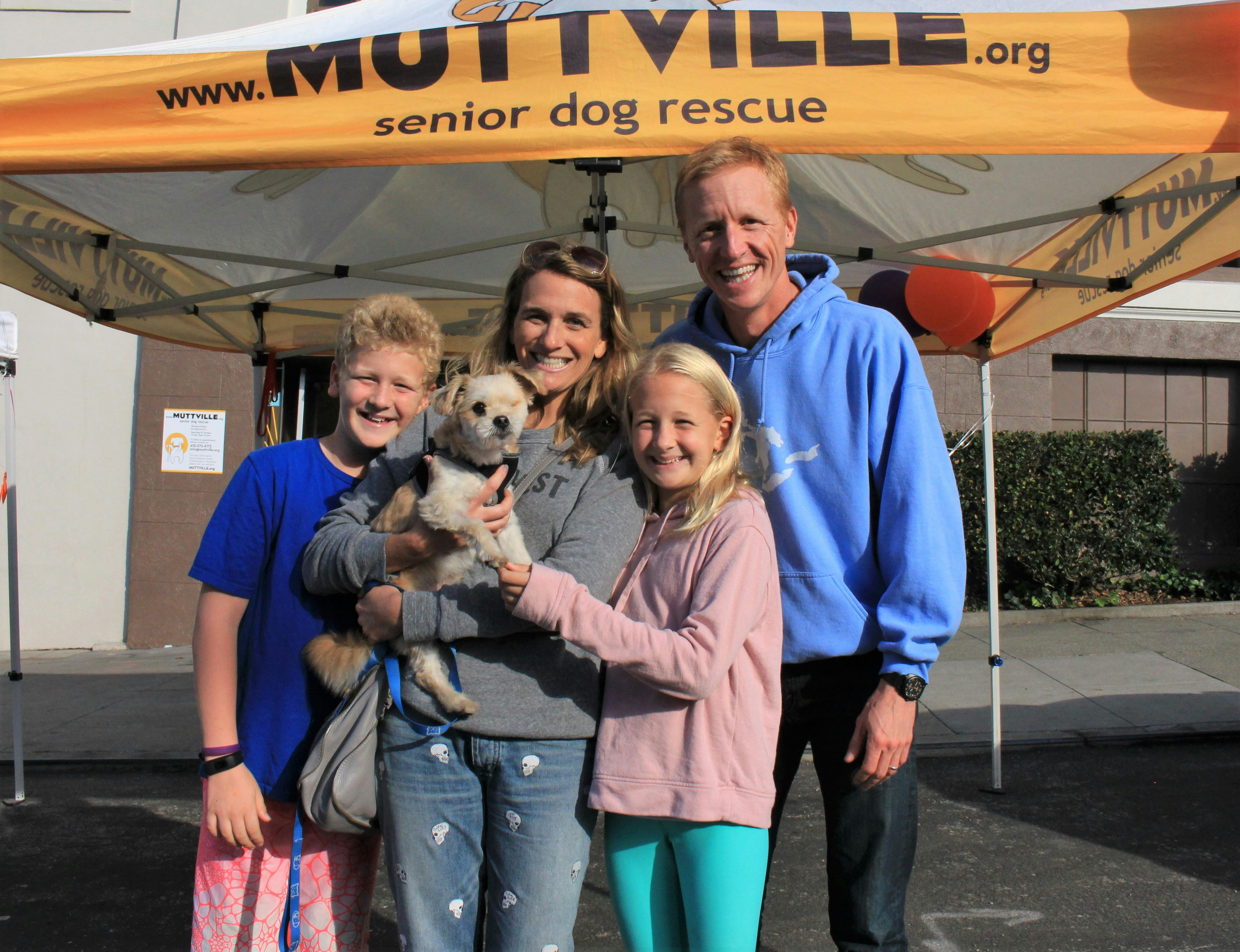 a family adopting an older dog at a shelter