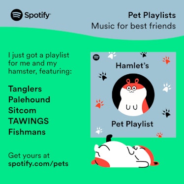 Spotify's new Pet Playlists are perfect for your fur baby.