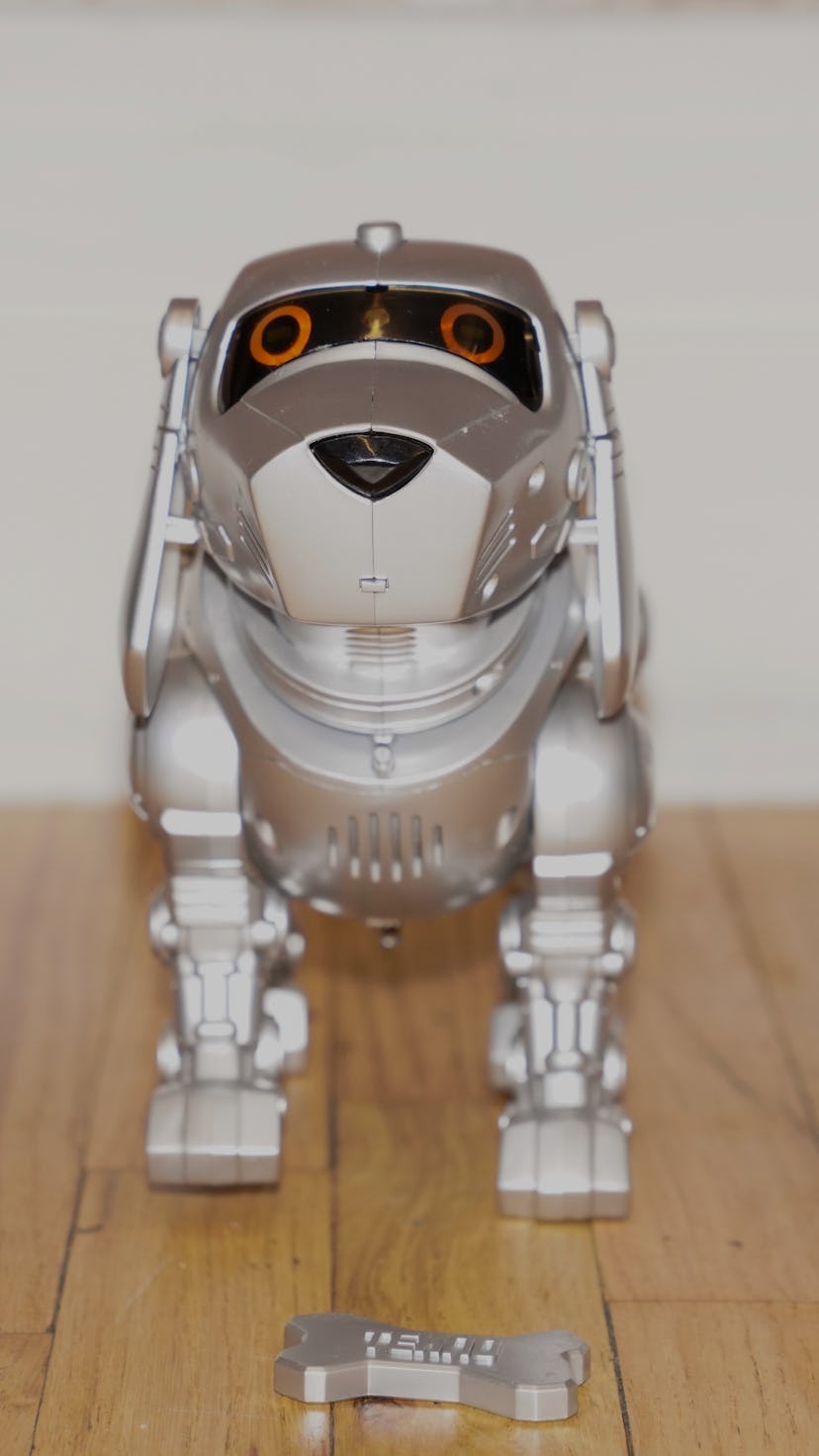 Silver robot dog toy shop