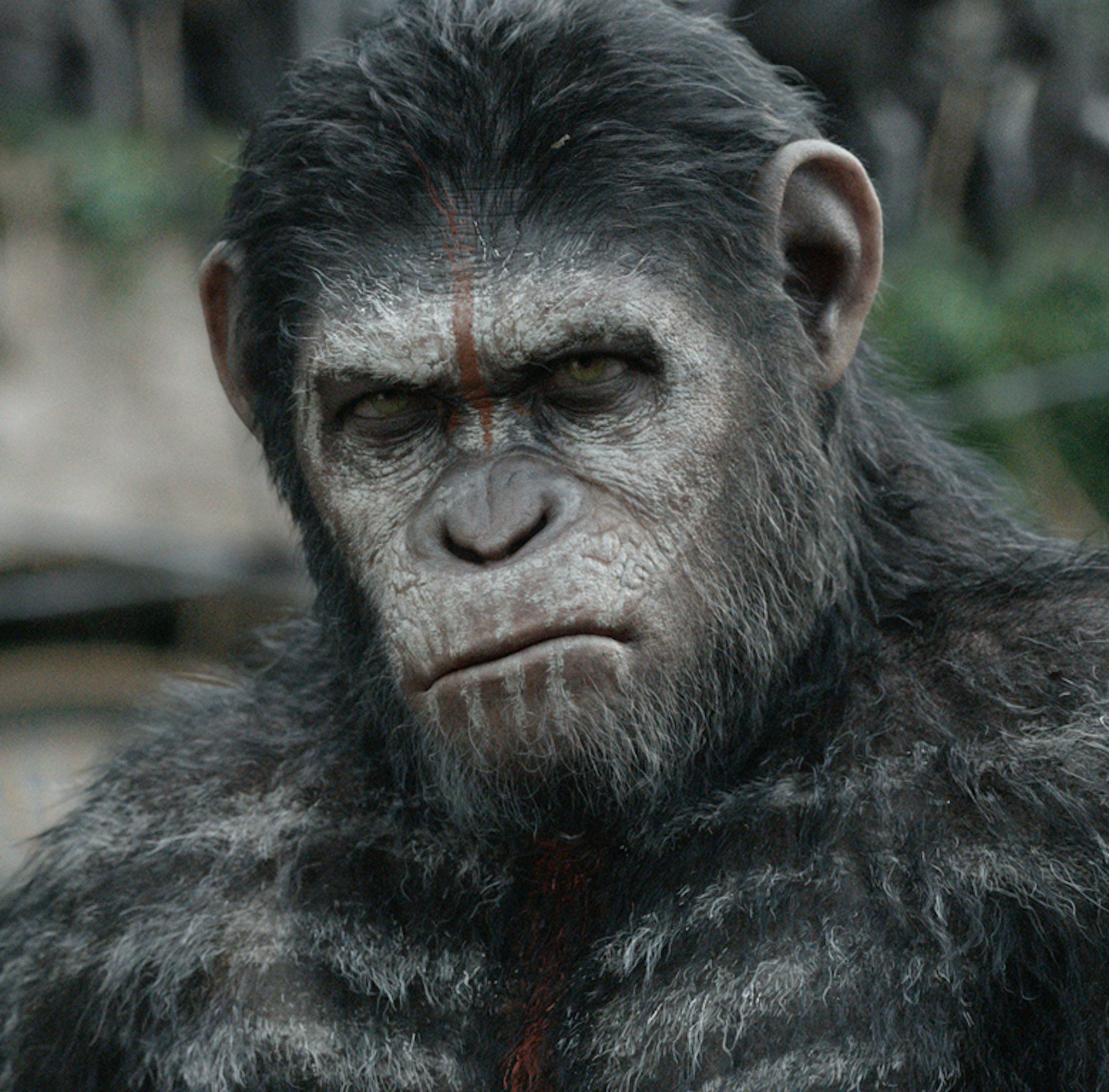 of the Apes' was the bravest blockbuster of the decade in one