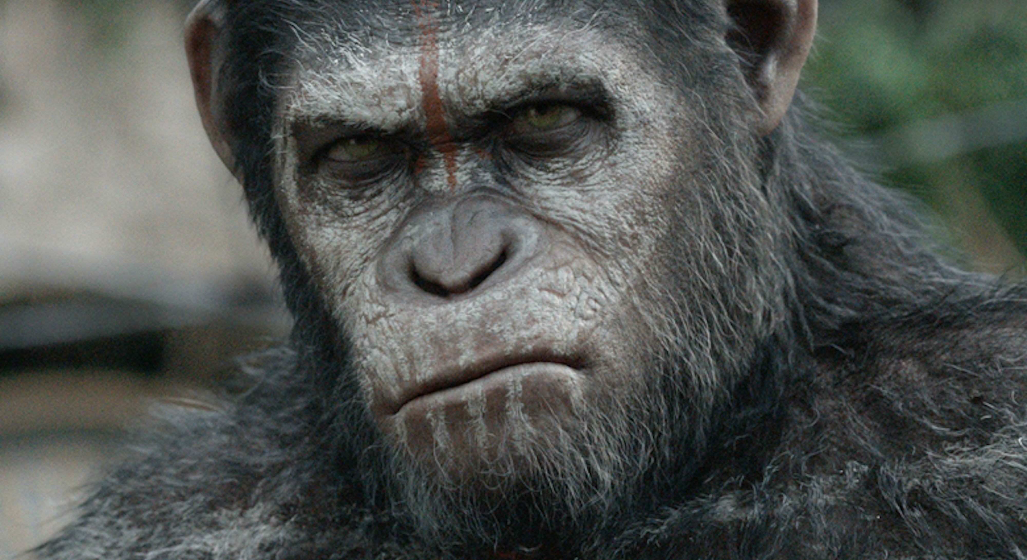 of the Apes' was the bravest blockbuster of the decade in one crucial way of the Apes' was the bravest blockbuster of the decade in one crucial way