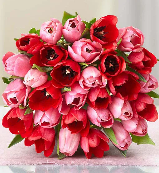 These 1-800-Flowers Valentine's Day 2020 Coupons Are So ...