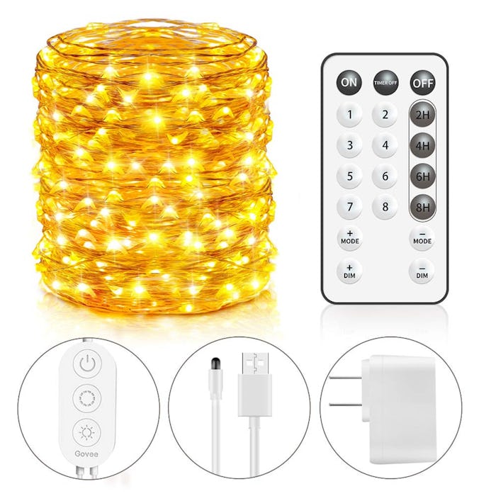 Govee USB String Lights