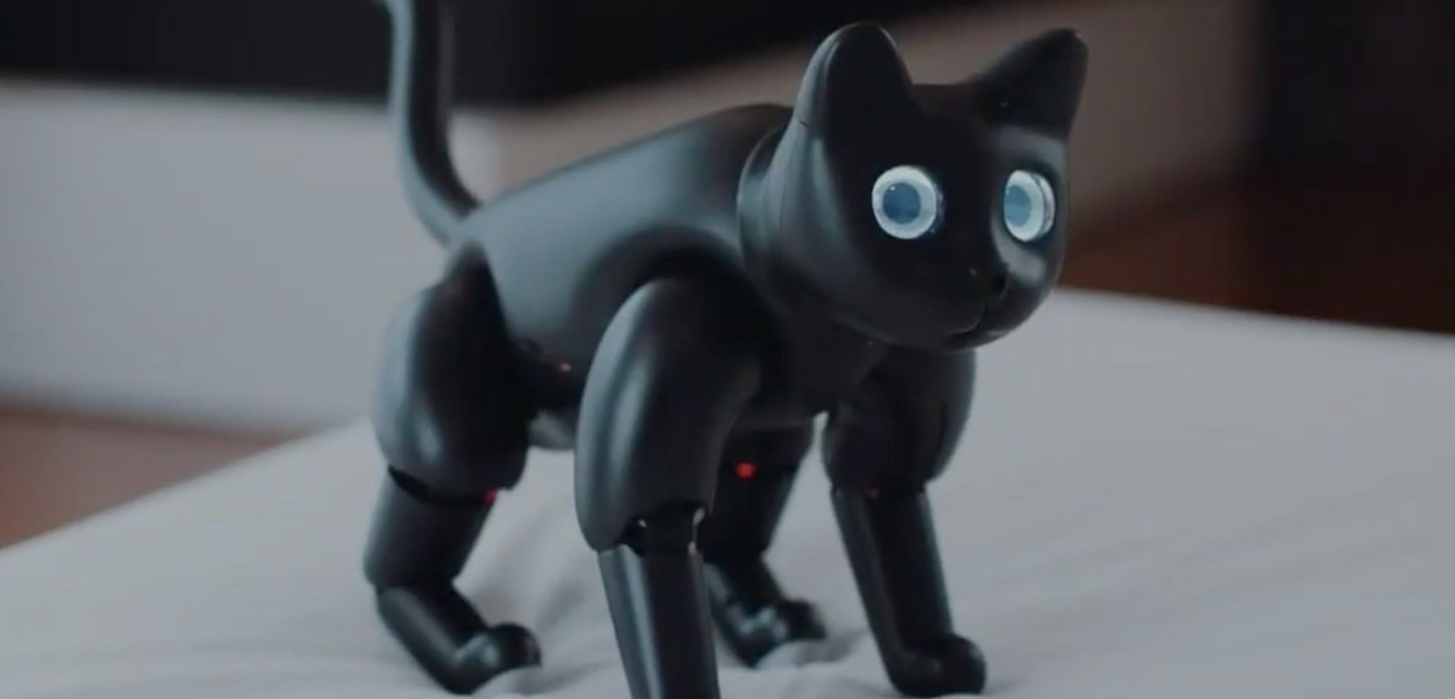 MarsCat is a bionic pet you can actually (kind of) afford