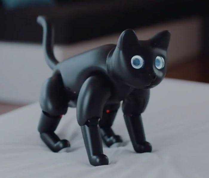 MarsCat is a bionic pet you can actually (kind of) afford