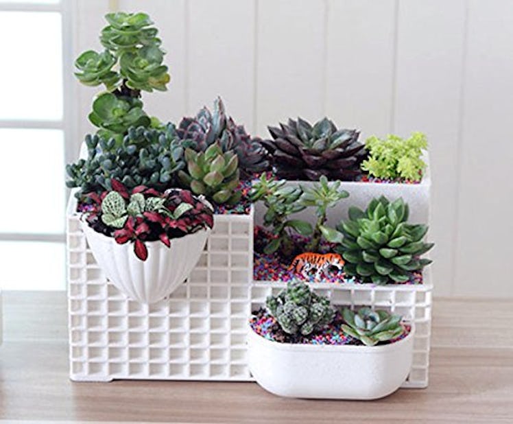 Vencer Dekstop Potted Stand 